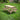 O Scale Picnic Tables by Scientific, Pack of 9