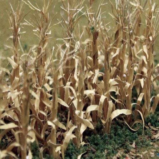 JTT Scenery Products Dried Corn Stalks 1" High, 90 Pieces