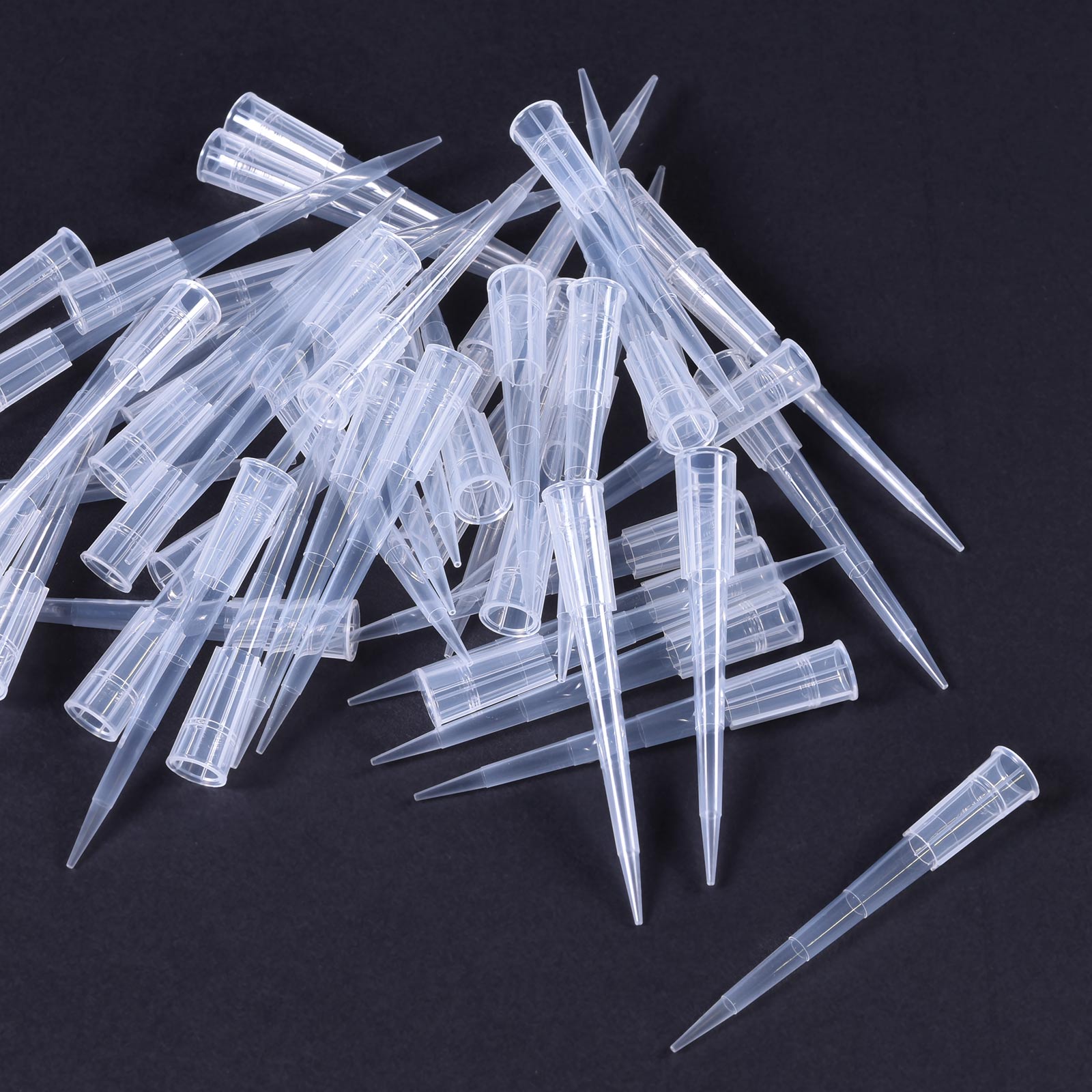 Pipette Tip, 1 - 200uL, 50 Pack