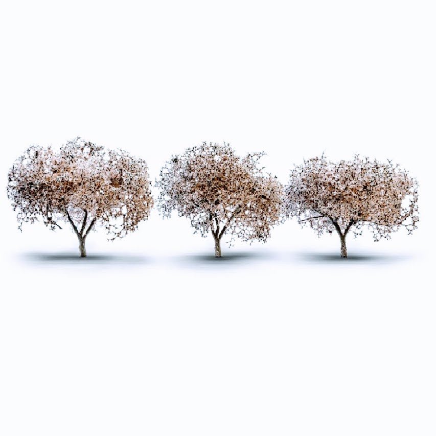 Woodland Classics® Cherry Blossom Grove 1 - 3/4" to 2 - 1/4" High, 6 Pieces